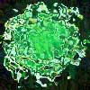 Picture for song 'Green' by artist 'Gunther'