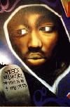 Picture for song ''95 g westcoaster' by artist 'g West Coast entertainment'