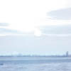 Picture for song 'Cold Seed (excerpt)' by artist 'Gydja'