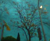 Picture for song 'Persist' by artist 'Gyrus'