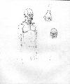 Picture for song 'Suiciadal Maniac Live Forest Ville' by artist 'h8r'