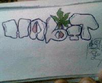 Picture for song 'StillTz' by artist 'HabiT'