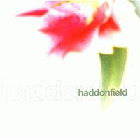 Picture for song 'last words' by artist 'haddonfield'