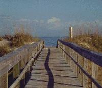 Picture for song ''Half-Man'.......Work in Progress' by artist 'HalfMan-HalfAmazing'