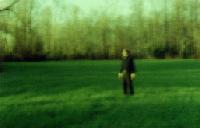 Picture for song 'Languid Morning' by artist 'Halo Stereo'