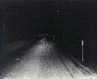 Picture for song 'Car Commercial' by artist 'Handsome Monkey King'