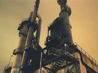 Picture for song 'These Things Should Be Eliminated' by artist 'Handsome Monkey King'