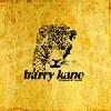 Picture for song 'Break Down' by artist 'HARRY KANE'