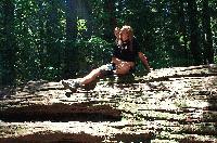 Picture for song 'All the while' by artist 'Harry Lohr'