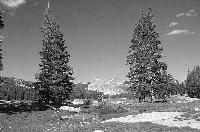 Picture for song 'Our Train' by artist 'Harry Lohr'