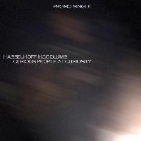 Picture for song 'Curious People At Curiosity (single version)' by artist 'Hasselhoff Hoodlums'