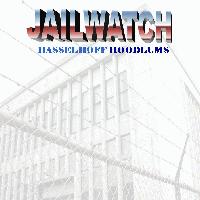 Picture for song 'Jailwatch' by artist 'Hasselhoff Hoodlums'