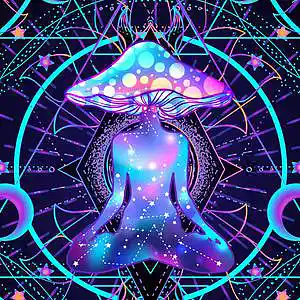 Picture for song '1972' by artist 'Hastyy'