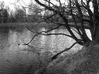 Picture for song 'Perfection' by artist 'HavannaH'