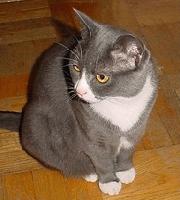 Picture for song 'Come & Go' by artist 'Hayden Yates'