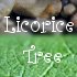 Picture for song 'Licorice Tree' by artist 'Hayley Jane'