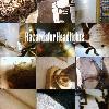 Picture for song 'Employment Impared' by artist 'HazardsforHeadlights'