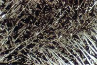 Picture for song 'Drizzle' by artist 'Haze 0'