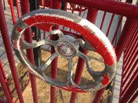 Picture for song 'Mango' by artist 'Haze 0'