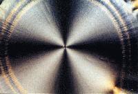 Picture for song 'Parking Space' by artist 'Haze 0'