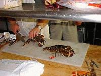 Picture for song 'Rama' by artist 'Haze 0'