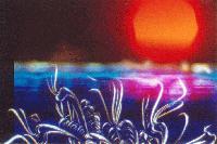 Picture for song 'Robot mating dance' by artist 'Haze 0'