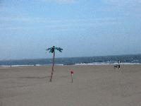 Picture for song 'The Bank' by artist 'Haze 0'