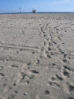 Picture for song 'Neyzen' by artist 'HAZERFAN'