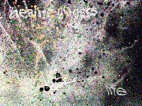 Picture for song 'a silent sea and an empty sky' by artist 'healing ghosts'