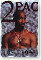 Picture for song 'HOT SHIT' by artist 'Heavy Duty Boyz'