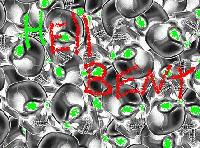 Picture for song 'ruff cut demo' by artist 'hellbent'