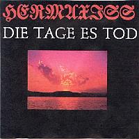 Picture for song 'raten aus der hôlle' by artist 'HERMAXISS'