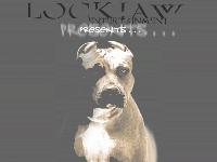 Picture for song 'whos askin now' by artist 'HERON (GREY GHOST)'