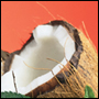 Picture for song 'Coconut Rum' by artist 'High Hopes Records'