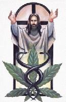 Picture for song 'I Wanna Thank You' by artist 'High Hopes Records'