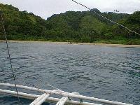 Picture for song 'Ebola V5' by artist 'High-pants Guys'