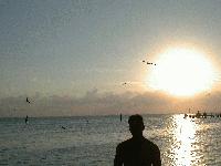 Picture for song '!!NEW SONGS IN PROGRESS!! FREE SAMPLE' by artist 'HIP HOP BEATS FOR RAPPERS'