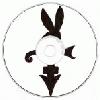 Picture for song 'Holiday' by artist 'Hip Hop Playboy'