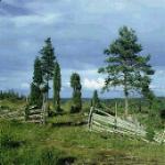 Picture for song 'Visa fr (Song from) Utanmyra' by artist 'His Masters Choice (Sweden)'