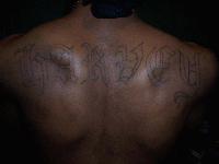 Picture for song 'Hustlah - Throw them thangs up' by artist 'hitmenproductions'
