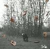 Picture for song 'Now I'm Here' by artist 'Hodge'