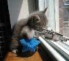 Picture for song 'As I Icky Sticky' by artist 'Holloway Productionz'