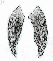 Picture for song 'Angel' by artist 'Holly Ann'