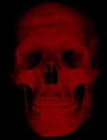 Picture for song 'evackuate' by artist 'hom187lc'