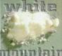 Picture for song 'white mountain' by artist 'homer333'