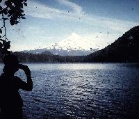 Picture for song 'leavin home' by artist 'hoogendoorns'