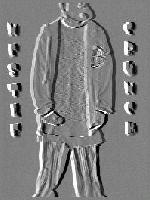 Picture for song 'Nestly- We Wont Stop' by artist 'HOT Records'