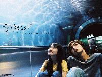 Picture for song 'Gu Dan Bei Ban Qiu (Chinese song)' by artist 'howller'