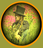 Picture for song 'Holy Roller' by artist 'H R Funk n Puff'