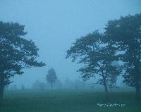 Picture for song 'Long Cold Night' by artist 'Huckster Rayzor'